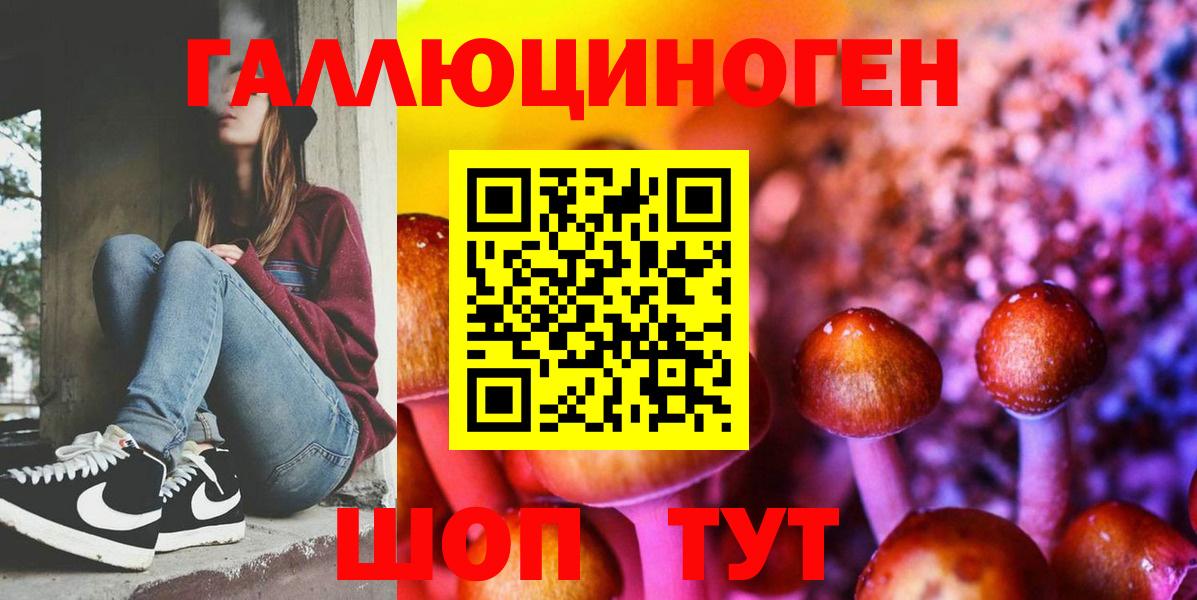 Галлюциногенные грибы Psilocybe  Вход с VPN  Галлюциногенные грибы мухоморы  Губкинский 